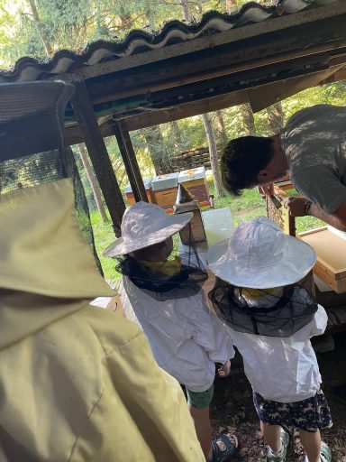 Kinder bei den Bienen. Vortrag von Elmar
